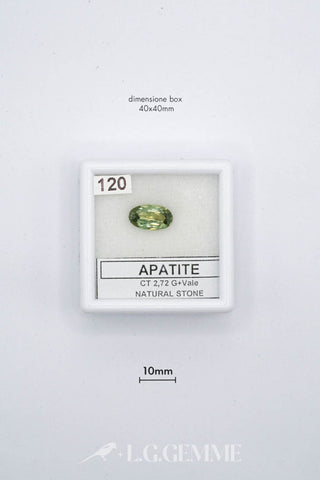 apatite 2.72ct verde ovale