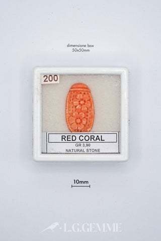 corallo 19.50ct rosso forma libera