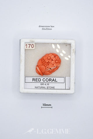 corallo 20.50ct rosso forma libera