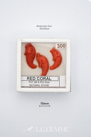 corallo 25.00ct rosso forma libera