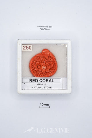 corallo 30.50ct rosso forma libera