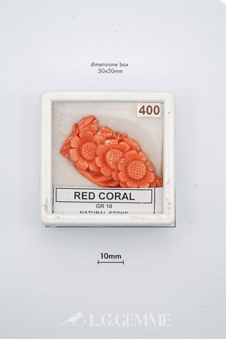 corallo 50.00ct rosso forma libera
