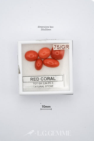 corallo 19.70ct rosso ovale
