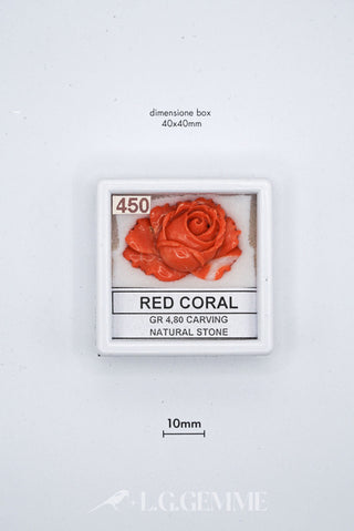 corallo 24.00ct rosso forma libera
