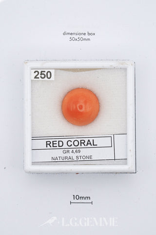 Corallo Rosso 4,69 carati Tonda gemma preziosa