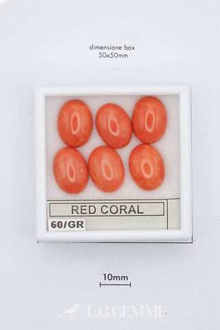 Corallo Rosso 0,60 carati Ovale gemma preziosa