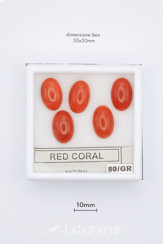 Corallo Rosso 0,80 carati Ovale gemma preziosa
