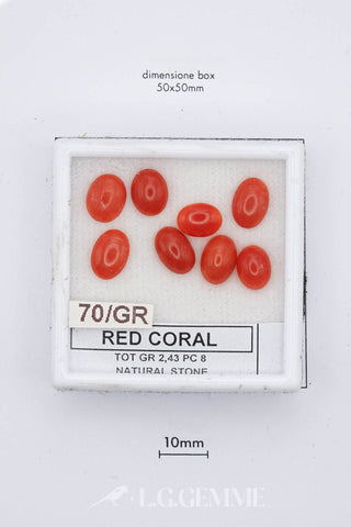 Corallo Rosso 2,43 carati Ovale gemma preziosa