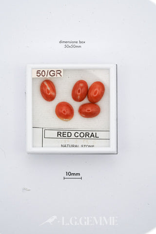 corallo 1.00ct oro ovale