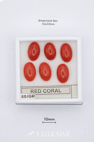 Corallo rosso 80,00 carati Ovale gemma preziosa