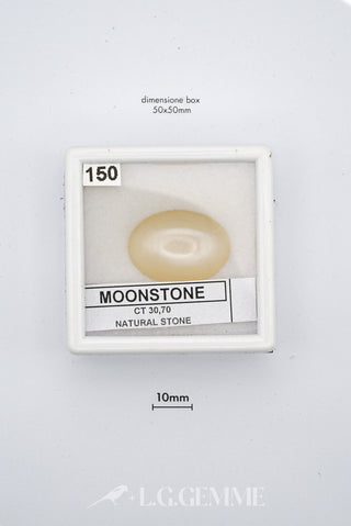 mbhvssyt 30.70ct bianco ovale