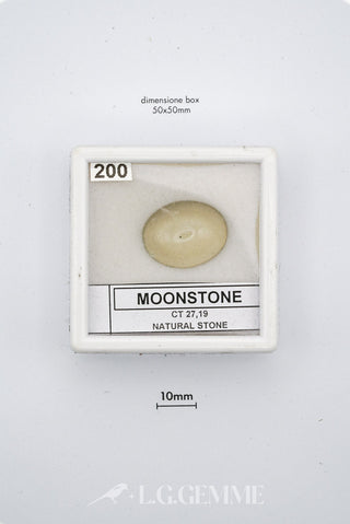 mbhvihxa 27.19ct bianco ovale