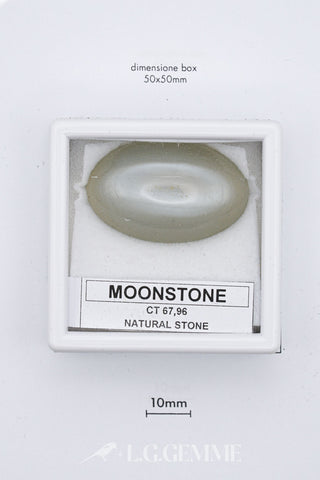 Pietra di luna 67,96 carati Ovale gemma preziosa