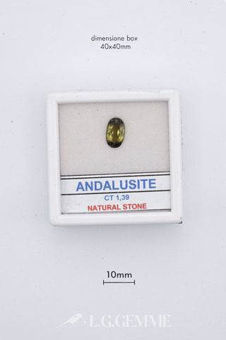 Andalusite 1,39 carati Ovale gemma preziosa