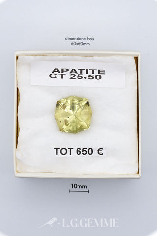 Apatite 25,50 carati ottagonale gemma preziosa