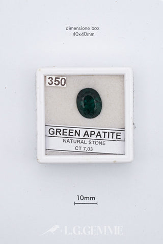 Apatite 7,03 carati Ovale gemma preziosa