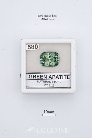 Apatite verde 8,23 carati Cuscino gemma preziosa