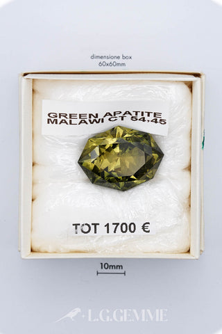 Apatite verde 54,45 carati Ovale gemma preziosa