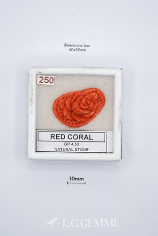 corallo 22.50ct rosso forma libera