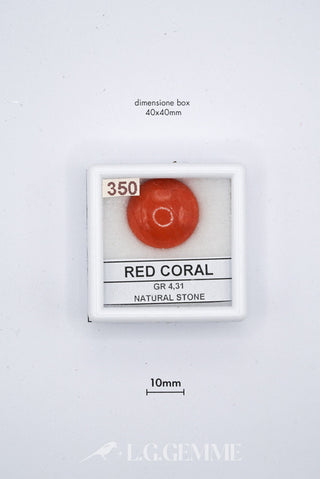 corallo 55.00ct rosso forma naturale