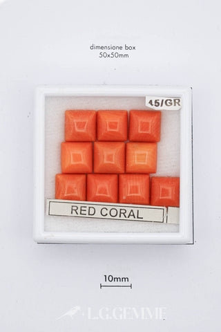 Corallo Rosso 0,00 carati Cuscino gemma preziosa