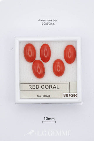 Corallo Rosso 0,80 carati Ovale gemma preziosa