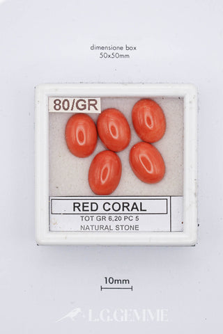 Corallo Rosso 6,20 carati Ovale gemma preziosa