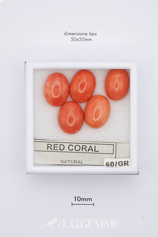 Corallo Rosso 0,60 carati ovale gemma preziosa