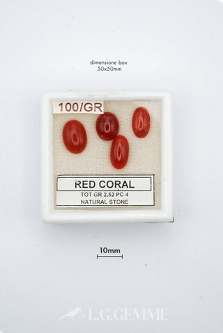corallo 6.00ct oro ovale