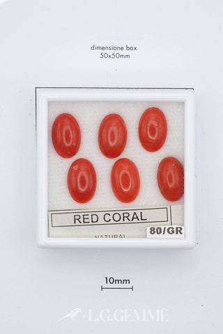 Corallo rosso 0,00 carati Ovale gemma preziosa