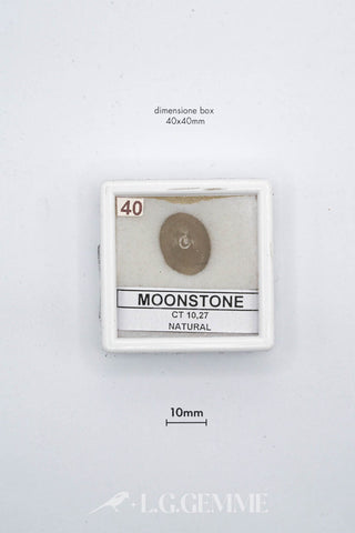 lunaria 10.27ct bianco ovale
