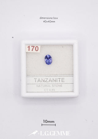 Tanzanite 0,88 carati Ovale gemma preziosa