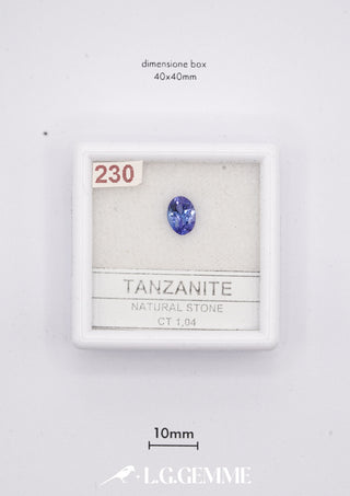 Tanzanite 1,04 carati Ovale gemma preziosa