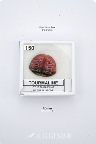 tormalina 15.50ct multicolore forma libera