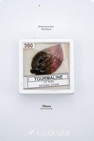 tormalina 35.08ct multicolore forma libera