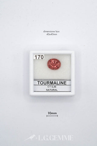 tormalina 5.46ct rosso ovale