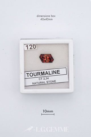 Tormalina 2,34 carati Cuscino gemma preziosa