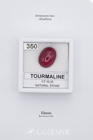 Tormalina 10,35 carati Ovale gemma preziosa