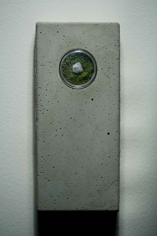 Opale multicolore + gemsbox